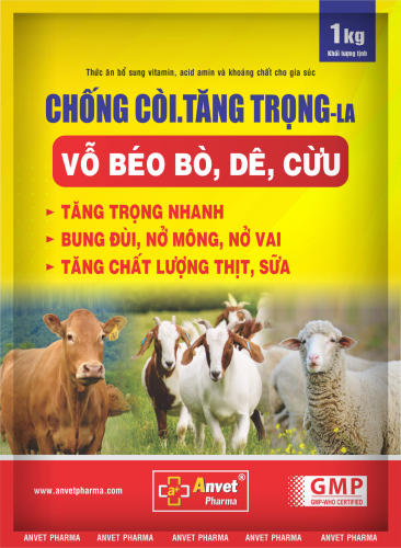 baobiluagiong.com Chuyên Bao Bì Lúa Giống Chất Lượng Cao